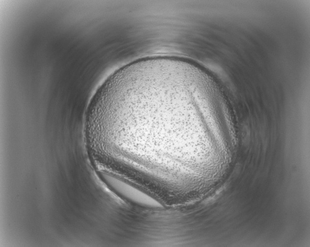 X0000067001374200604072138