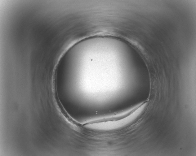 X0000067001375200604072138