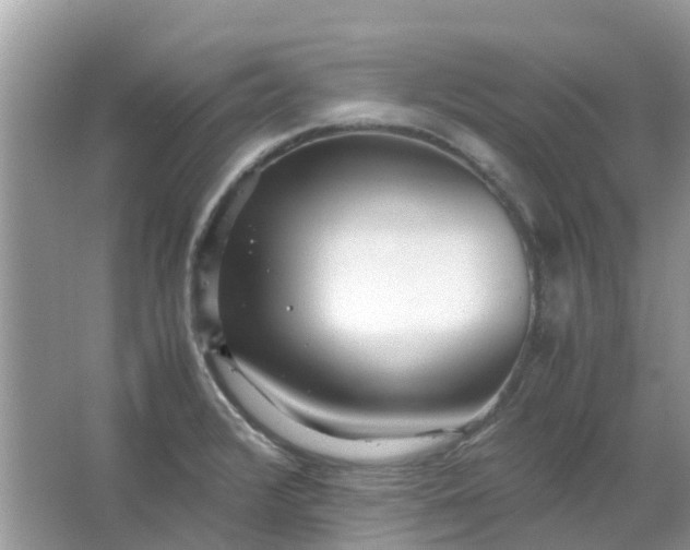 X0000067001376200604072138