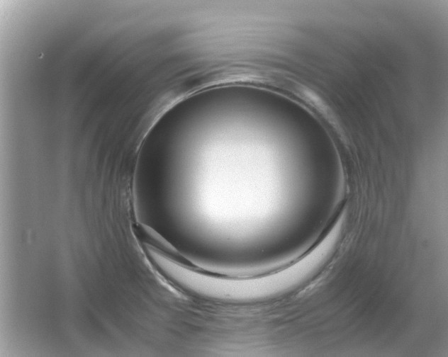 X0000067001377200604072138