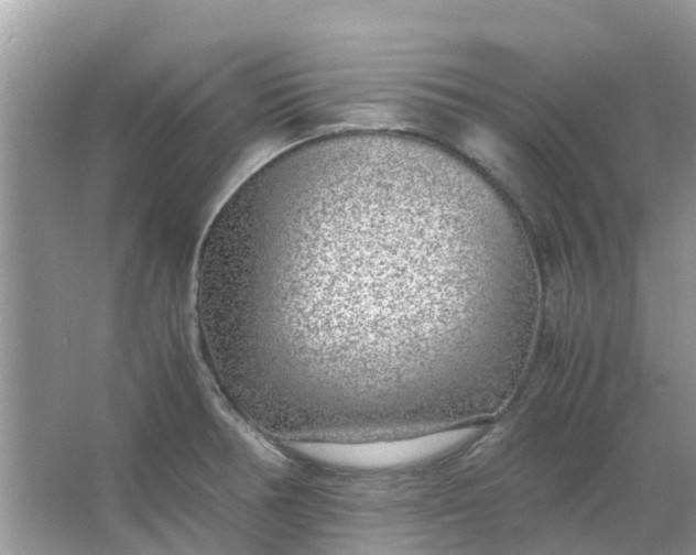 X0000067001378200604072138