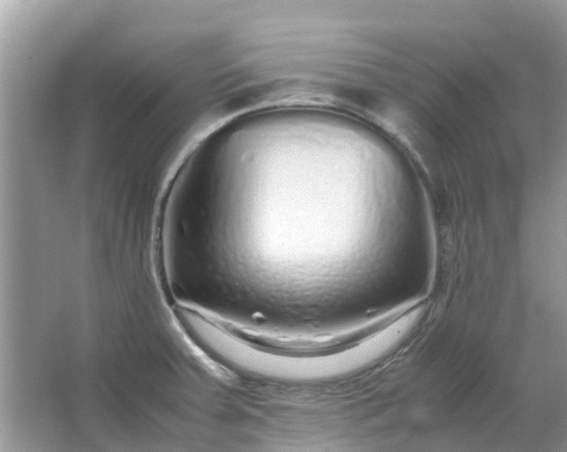 X0000067001379200604072138