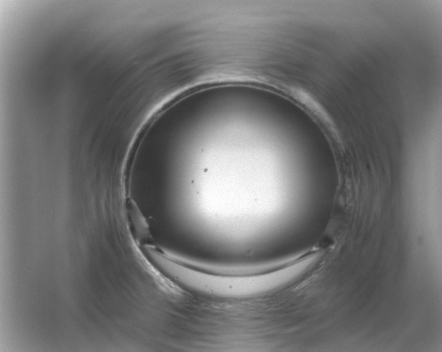 X0000067001380200604072138