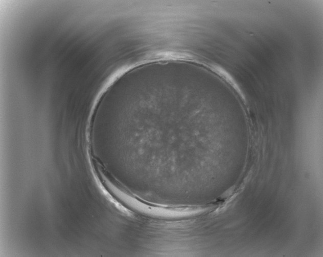 X0000067001381200604072138