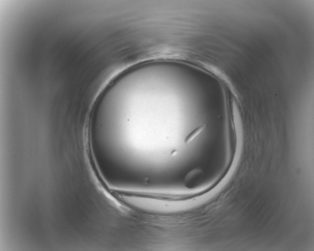 X0000067001383200604072138