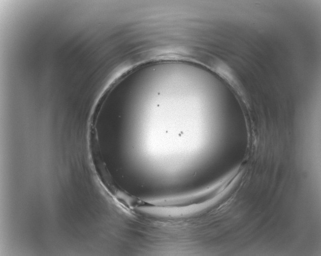 X0000067001384200604072138