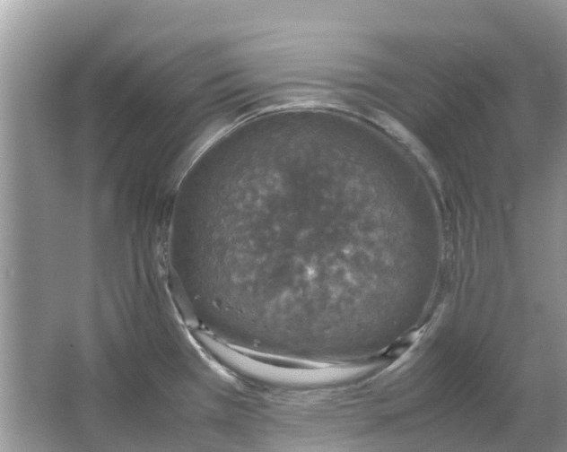 X0000067001385200604072138