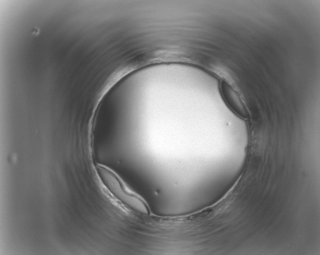 X0000067001386200604072137