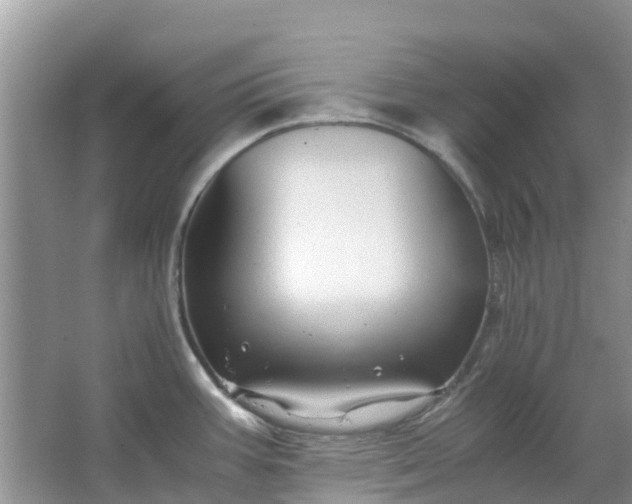 X0000067001387200604072137