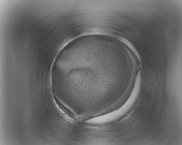 X0000067001388200604072137