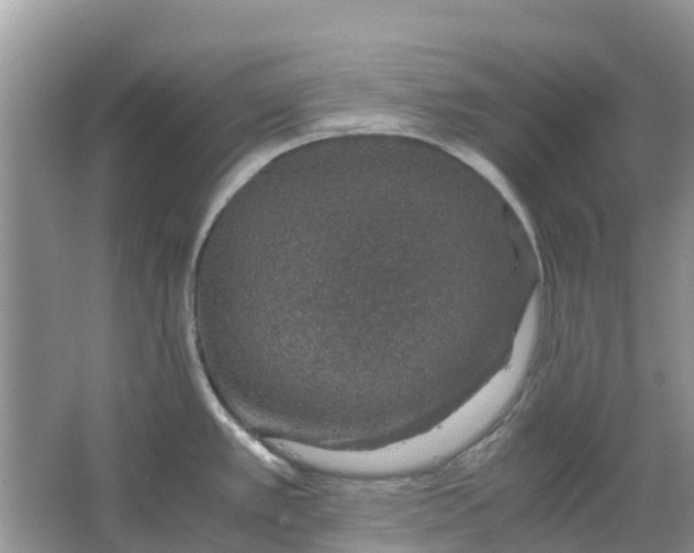 X0000067001389200604072137