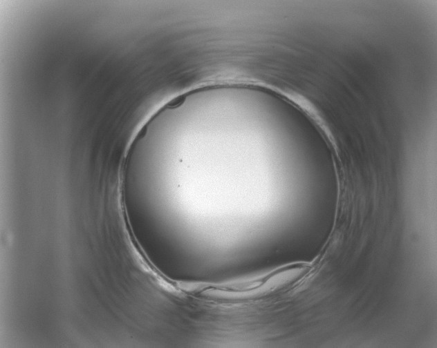 X0000067001390200604072137