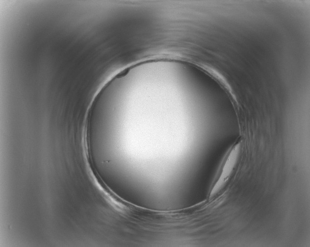 X0000067001391200604072137