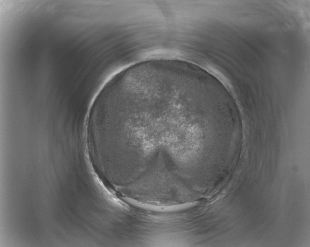 X0000067001392200604072137