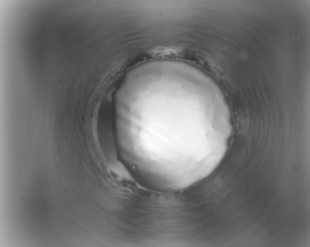 X0000067001393200604072137