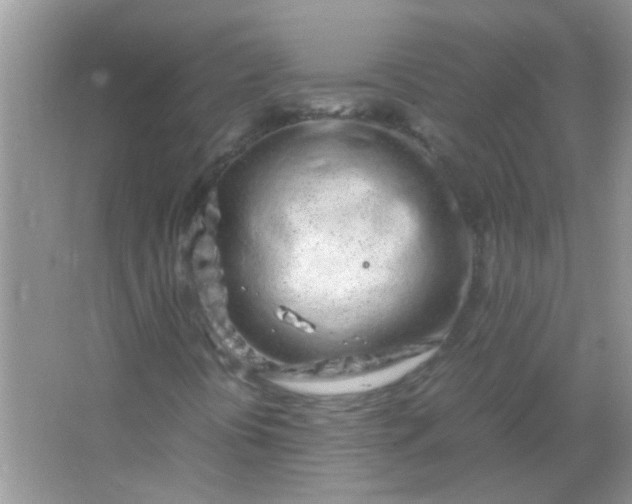 X0000067001394200604072137