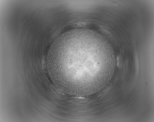 X0000067001395200604072137