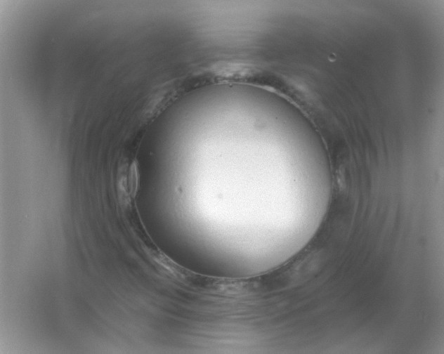 X0000067001396200604072137