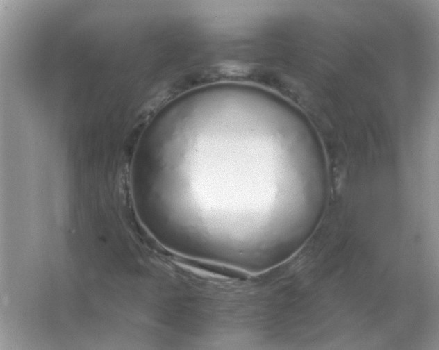 X0000067001397200604072137