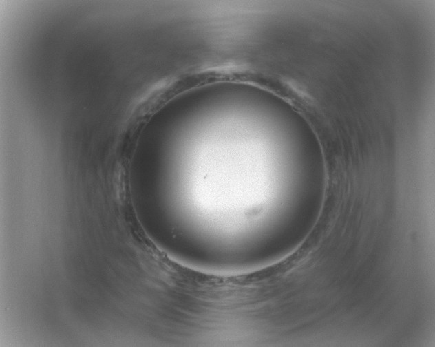 X0000067001398200604072137