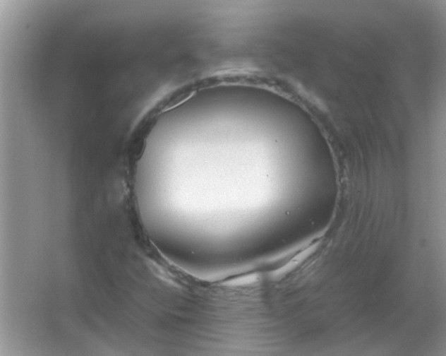 X0000067001400200604072137