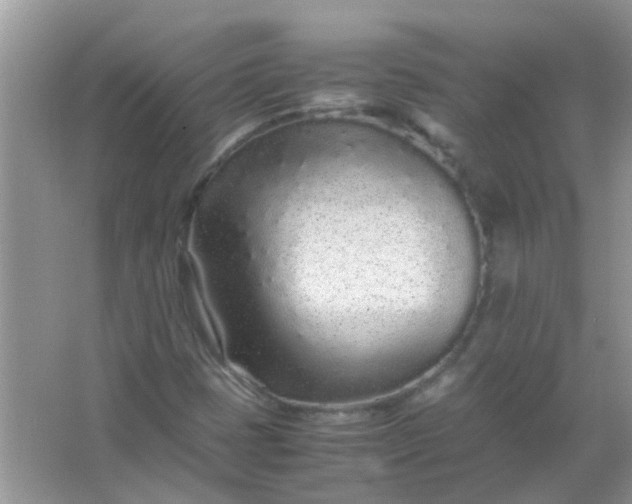 X0000067001401200604072137