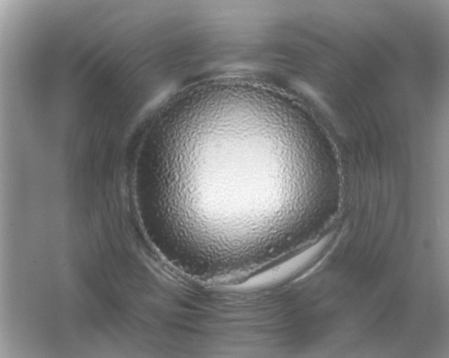 X0000067001403200604072137