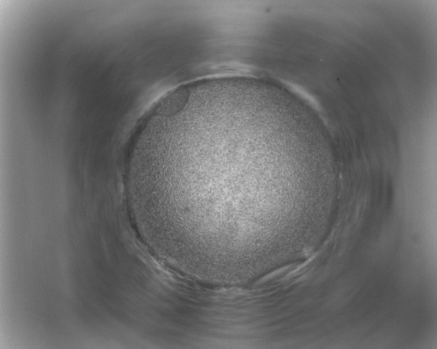 X0000067001407200604072137