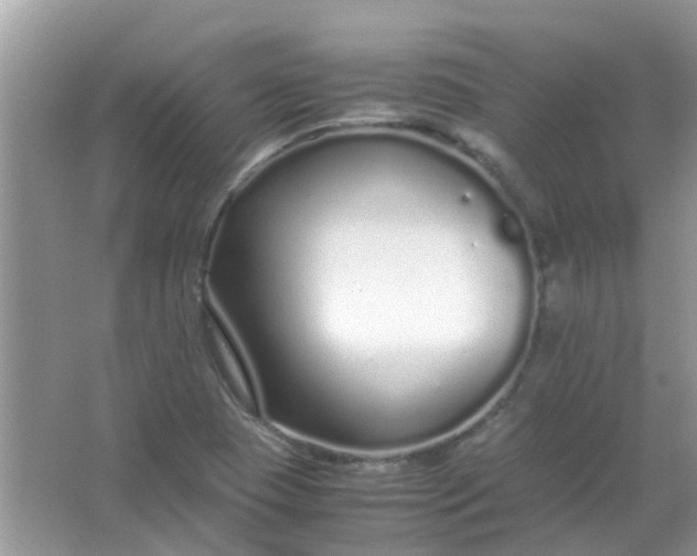 X0000067001409200604072137