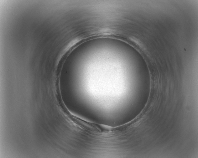 X0000067001410200604072137