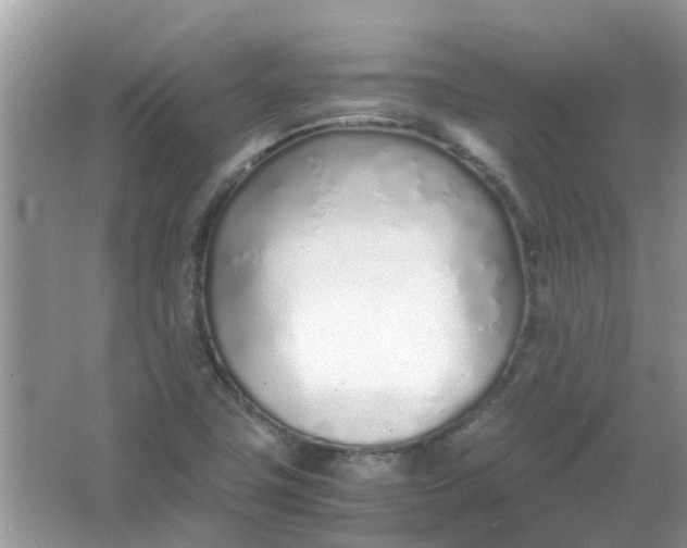 X0000067001411200604072137