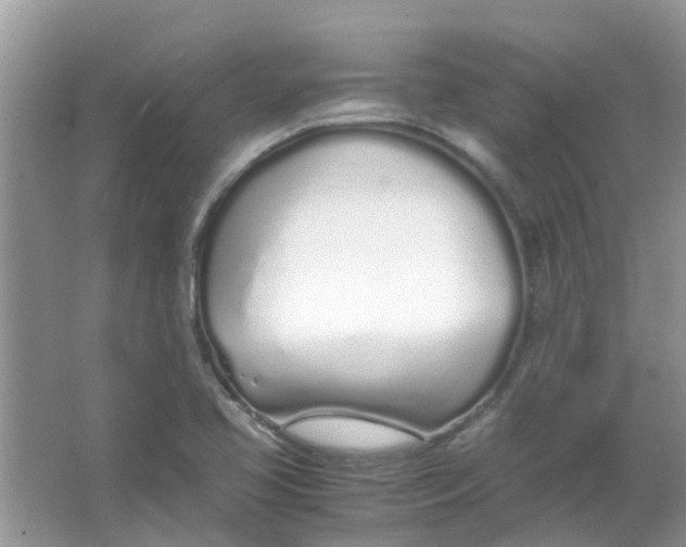 X0000067001413200604072137