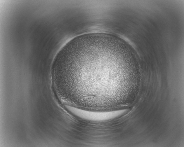 X0000067001415200604072137