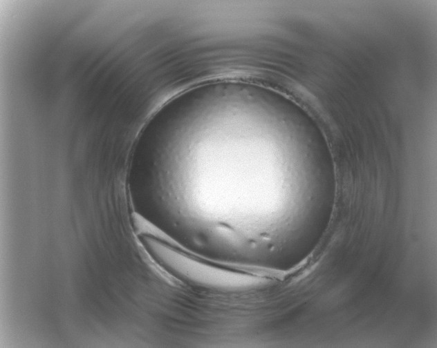 X0000067001417200604072137