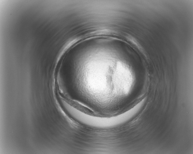 X0000067001418200604072137