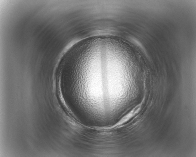 X0000067001419200604072137