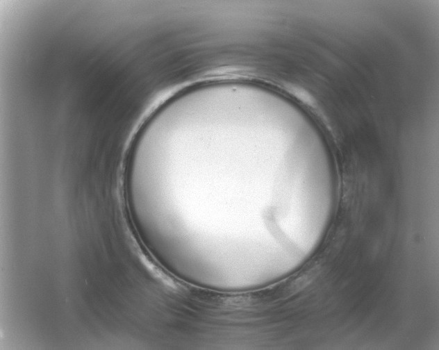 X0000067001421200604072137