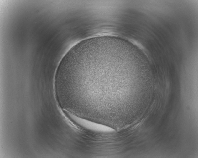 X0000067001423200604072137