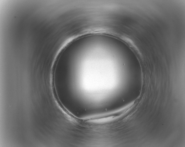 X0000067001424200604072137