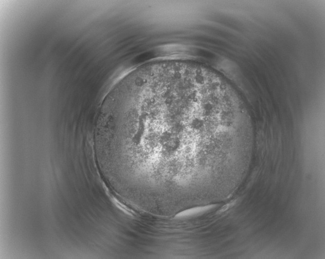 X0000067001425200604072137