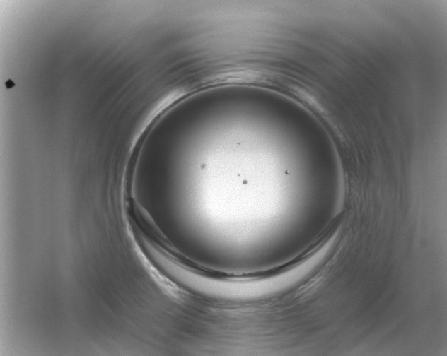 X0000067001426200604072137