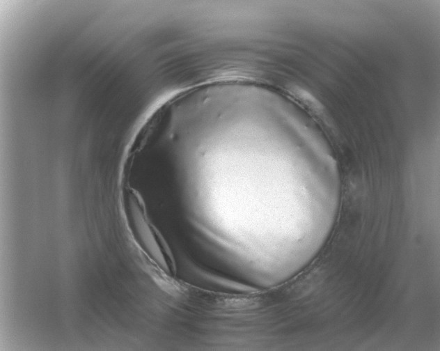 X0000067001427200604072137