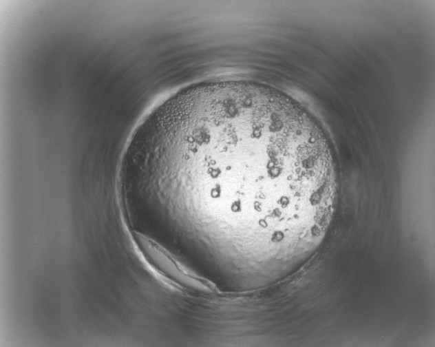 X0000067001429200604072137