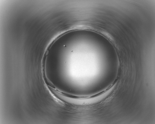 X0000067001430200604072137