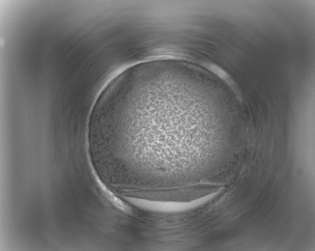 X0000067001431200604072137