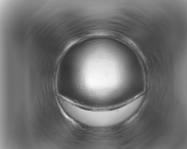 X0000067001433200604072137