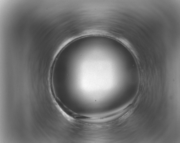 X0000067001438200604072137