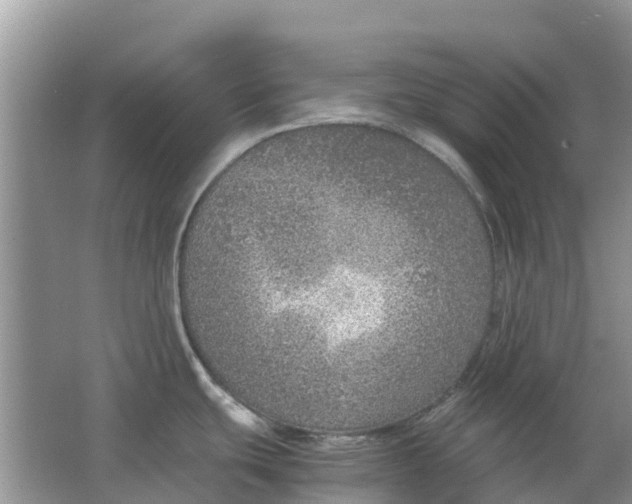 X0000067001439200604072137