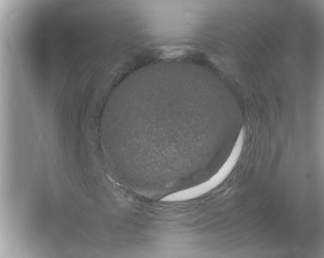 X0000067001441200604072137