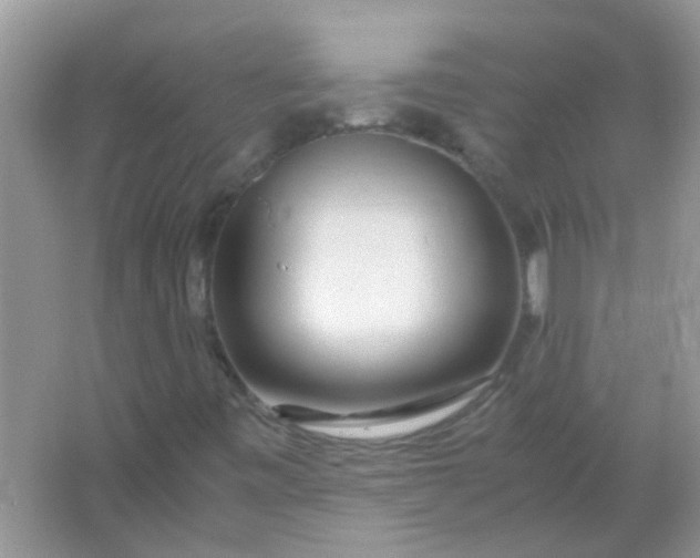 X0000067001443200604072137